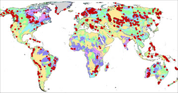 Click here to view larger photo