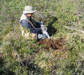 Please click on thumbnail to view larger photo & details.