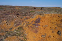 Please click on thumbnail to view larger photo & details.