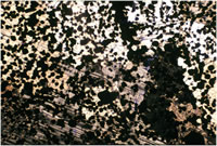 Please click on thumbnail to view larger photo & details.