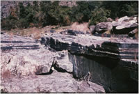 Please click on thumbnail to view larger photo & details.