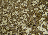 Please click on thumbnail to view larger photo & details.