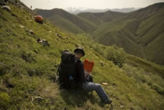 Please click on thumbnail to view larger photo & details.